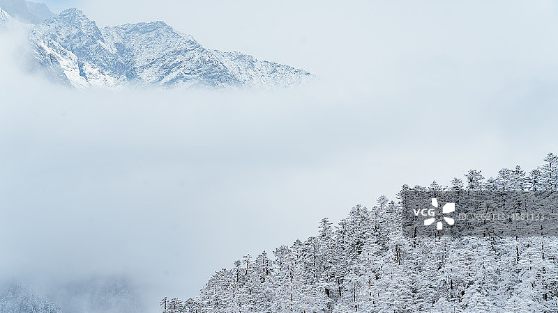 成都甘孜海螺沟燕子沟雾天雪景图片素材
