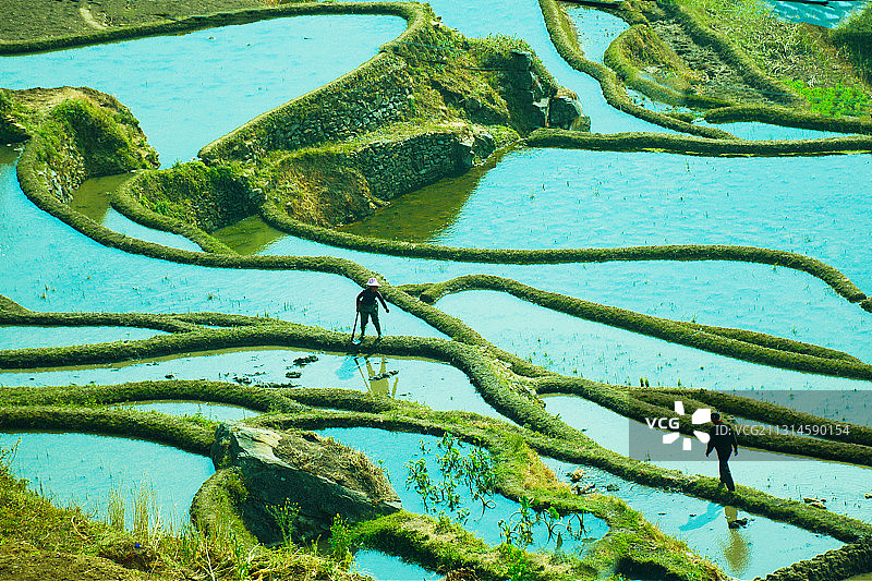 汗滴禾下土图片素材