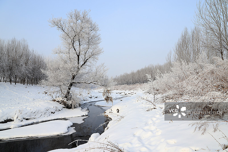 冬日雾凇图片素材