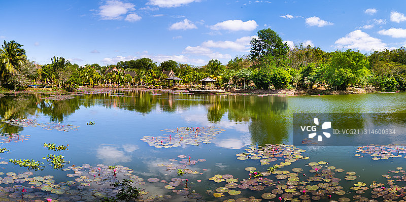 海南万宁兴隆华侨旅游经济区公园景观湖面莲花池水景图片素材