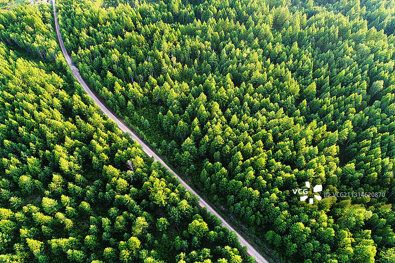 航拍大兴安岭穿越林海的山路图片素材