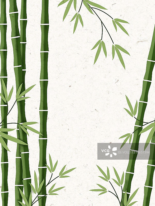 竹子竹林图片素材