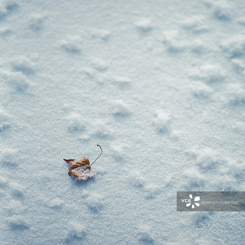 雪地微景图片素材