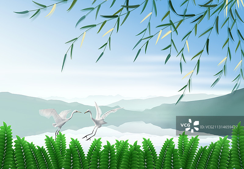 二只白鹭图片素材