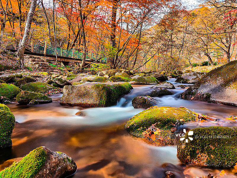 辽宁·丹东·天桥沟森林公园枫叶·红叶溪流慢门风光 手机摄影图片素材