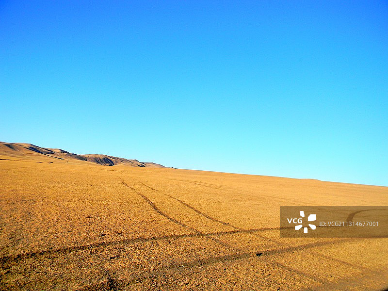 内蒙古金色空旷草原车辙图片素材