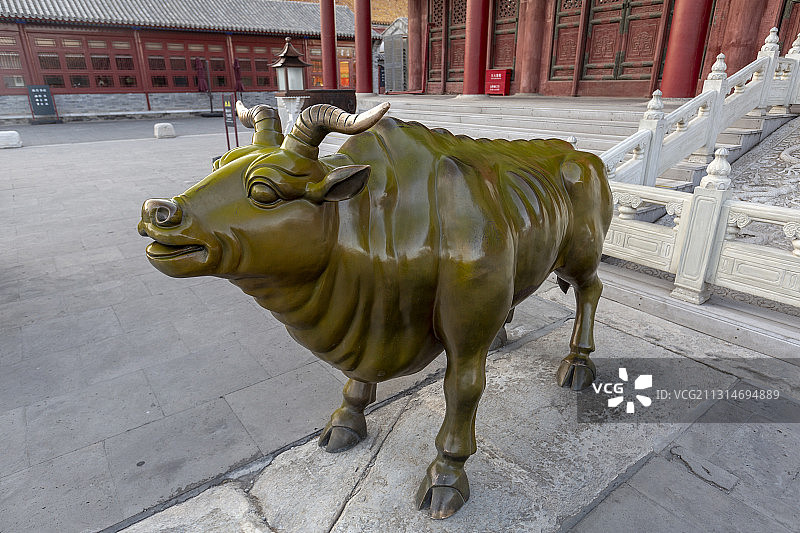 北京故宫箭亭前按照《五牛图》陈列的铜牛图片素材