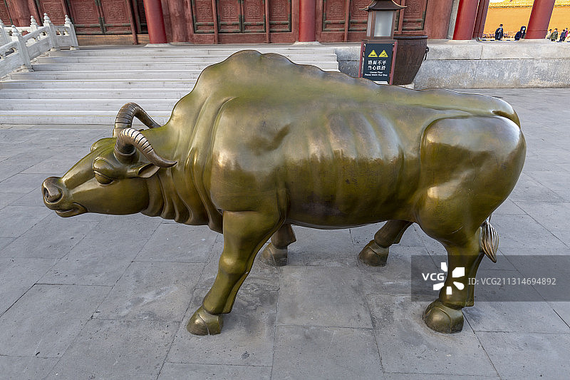北京故宫箭亭前按照《五牛图》陈列的铜牛图片素材