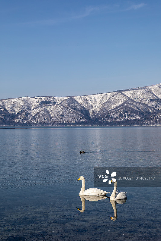 北海道阿寒湖屈斜路湖美景图片素材