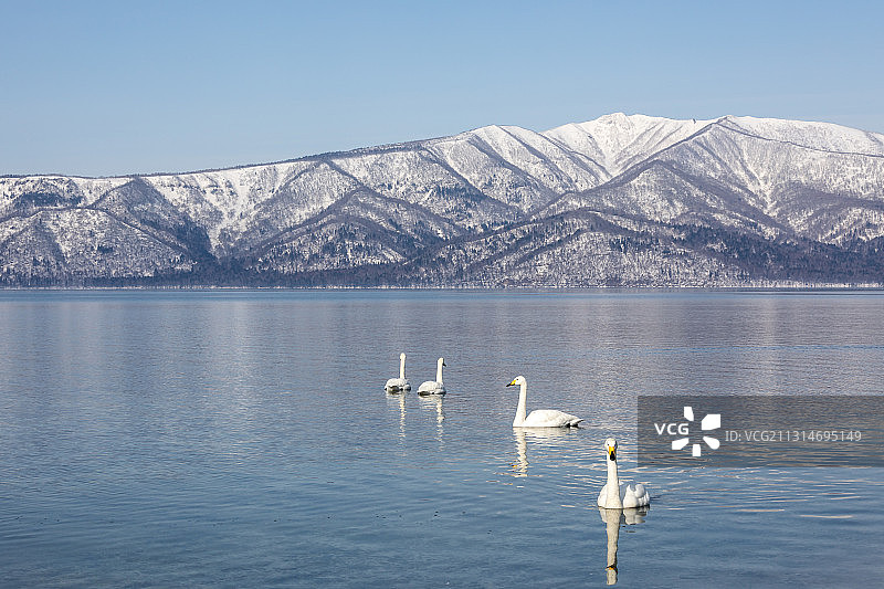 北海道阿寒湖屈斜路湖美景图片素材