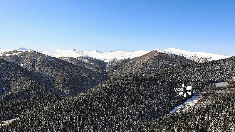 鲁朗林海图片素材