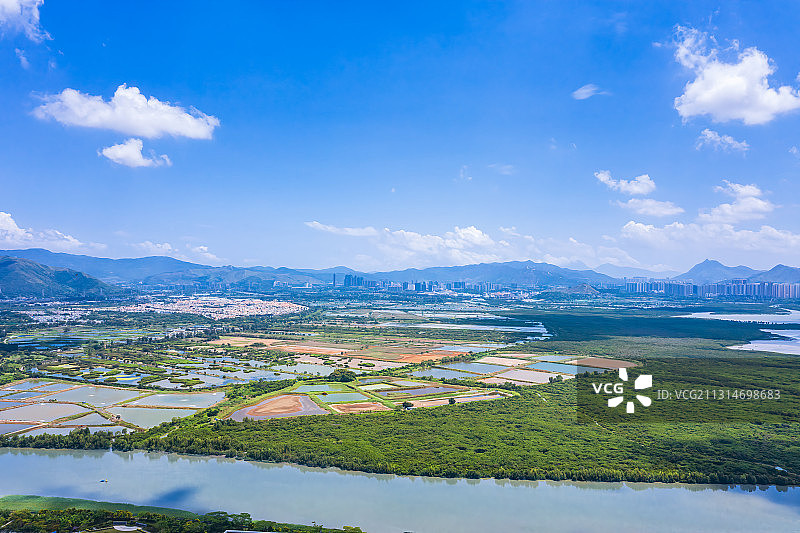 广东省深圳市福田区对岸香港米埔自然护理区绿色田野图片素材