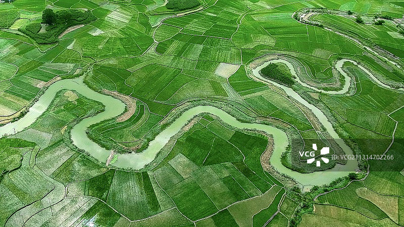 生命之河图片素材