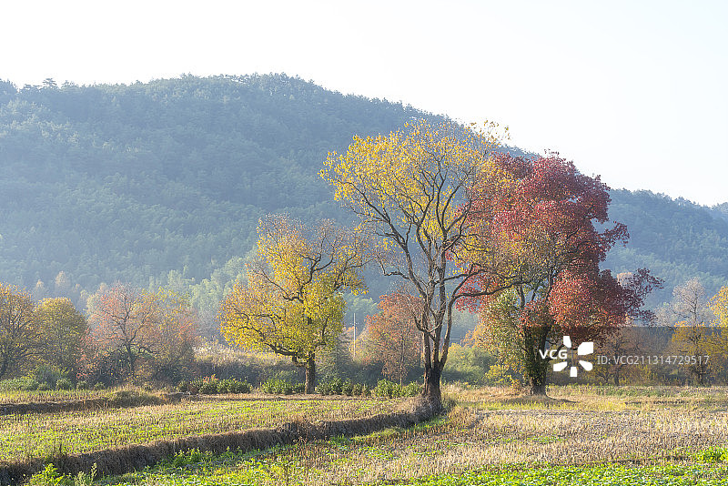 安徽 宏村 美不胜收的塔川秋色图片素材