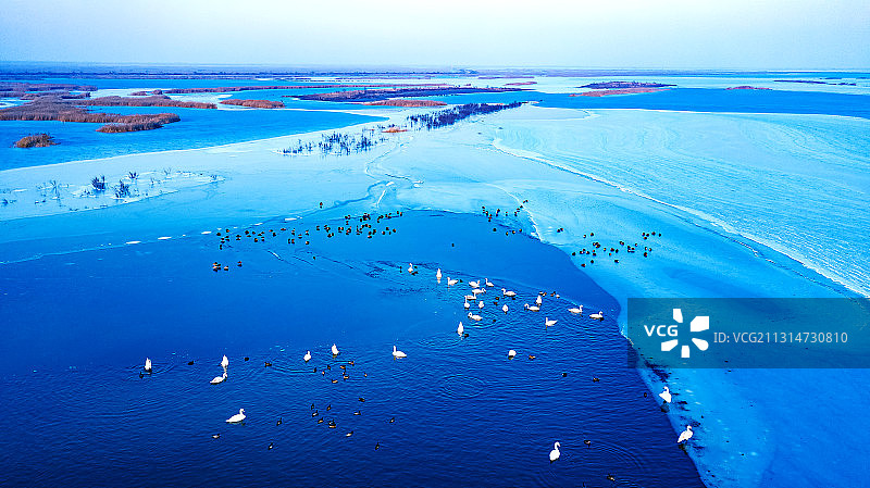 大美湿地图片素材