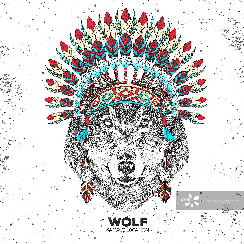 戴着印第安羽毛头饰的时髦狼图片素材