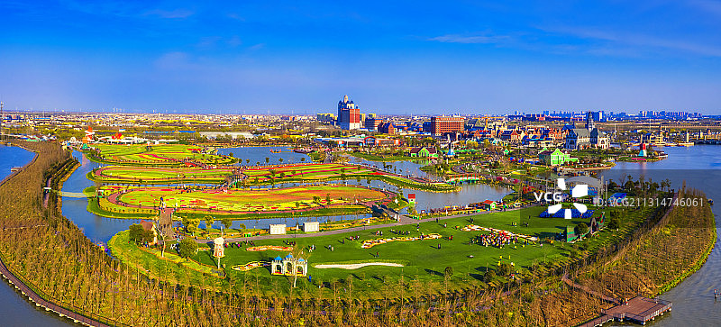 盐城大丰荷兰花海图片素材