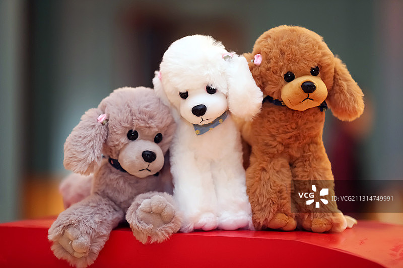 富贵狗图片素材