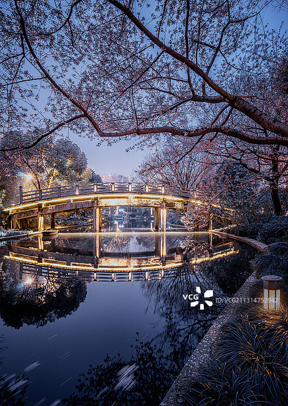 杭州西湖曲院风荷图片素材