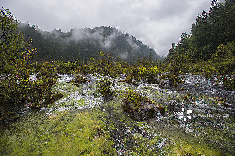 四川省九寨沟珍珠滩风光图片素材
