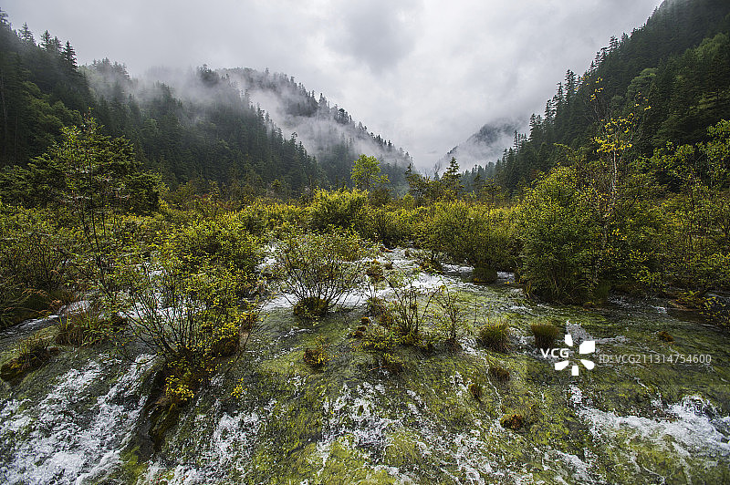 四川省九寨沟珍珠滩风光图片素材