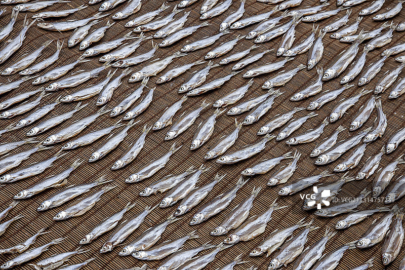 广东江门市世界文化遗产开平赤坎镇居民晾晒的小鱼图片素材