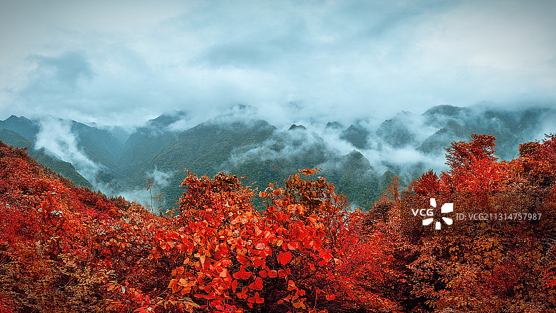 重庆市城口县黄安坝风光图片素材