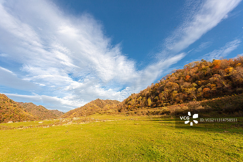 陕西省汉中留坝县狮子沟牧场图片素材