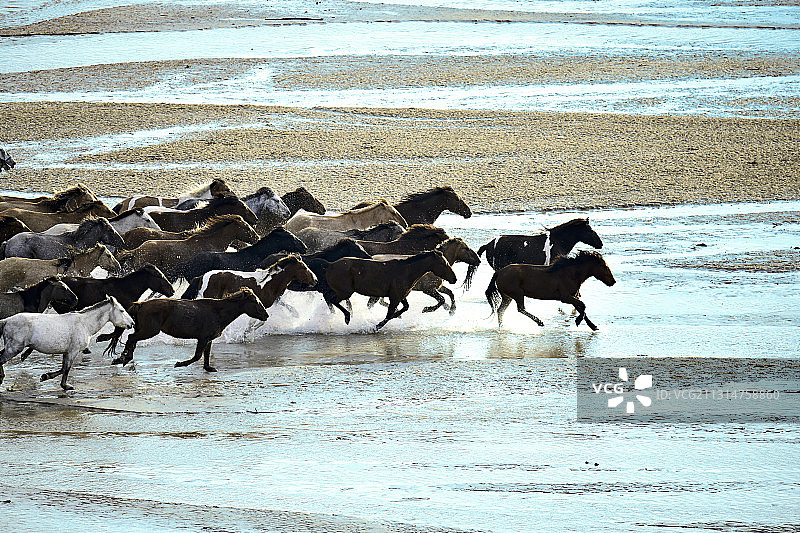 奔马踏水花图片素材