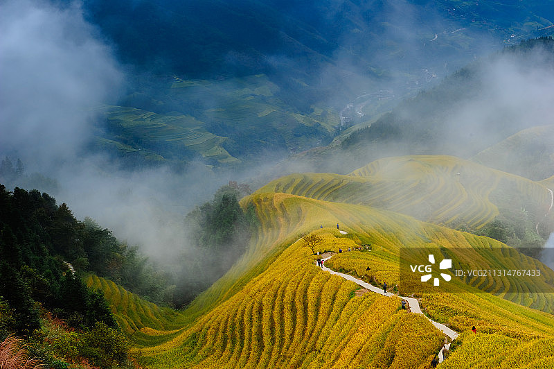 广西桂林龙胜龙脊梯田秋景图片素材