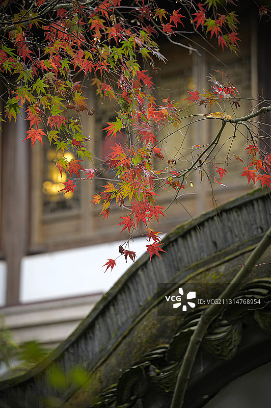 杭州 西溪湿地 高庄图片素材