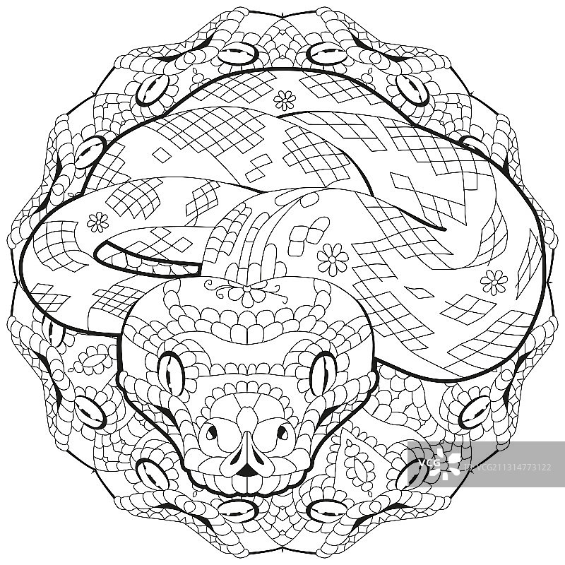 Zentangle曼陀罗手绘蛇图片素材
