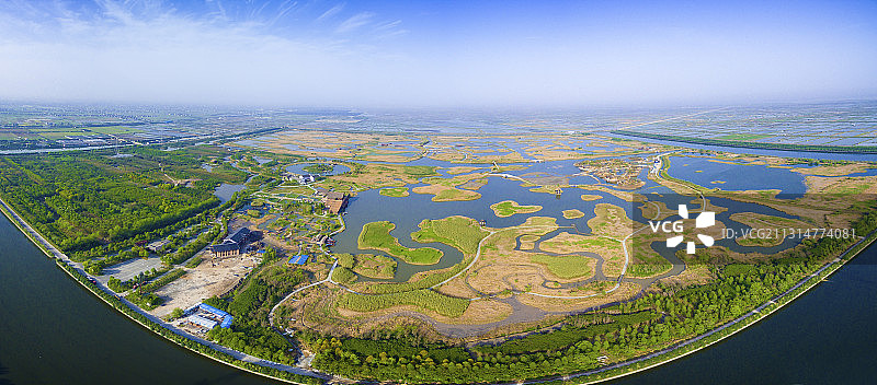杭州湾湿地图片素材