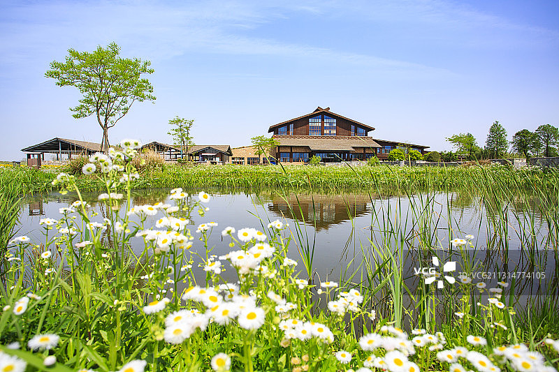 杭州湾湿地图片素材