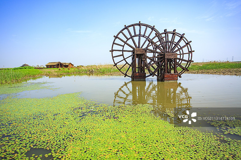 杭州湾湿地图片素材
