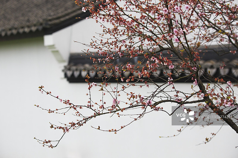 江南民居图片素材