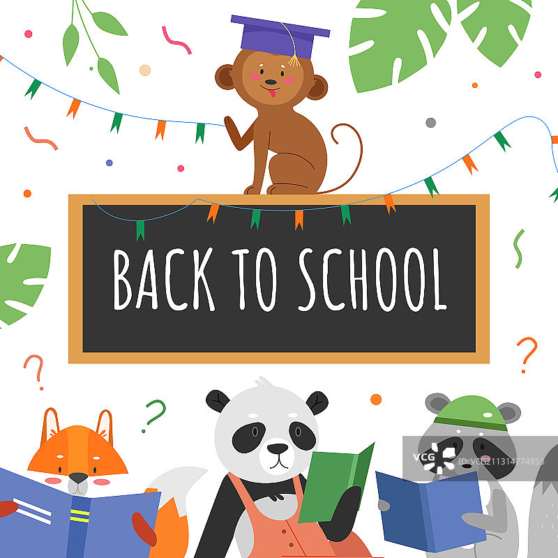 动物教育概念图片素材