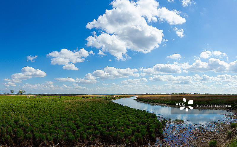 黑龙江省同江三江口国家湿地公园图片素材