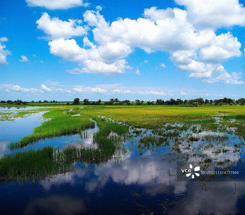 黑龙江省同江三江口国家湿地公园图片素材