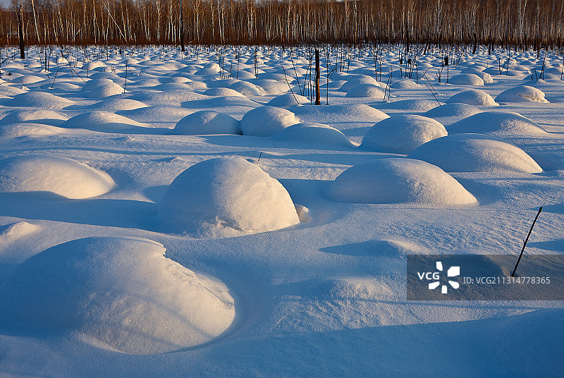 黑龙江省伊春市嘉荫县雪景图片素材