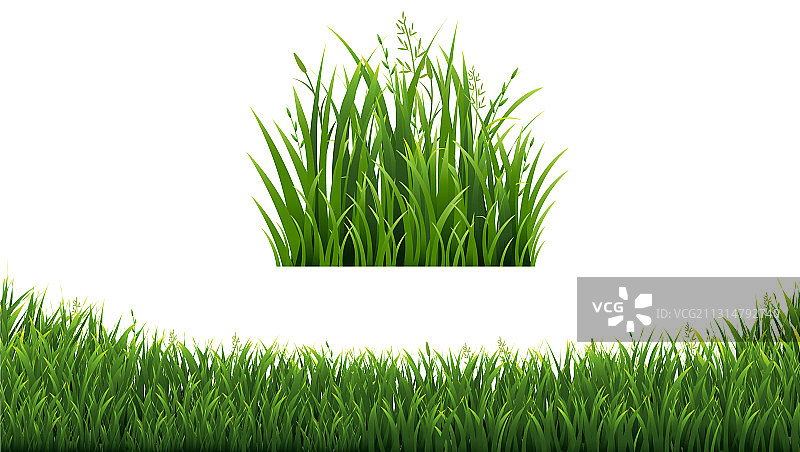 孤立白色背景中的绿草框架图片素材