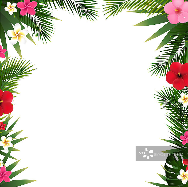 热带花卉边框和海滩图片素材