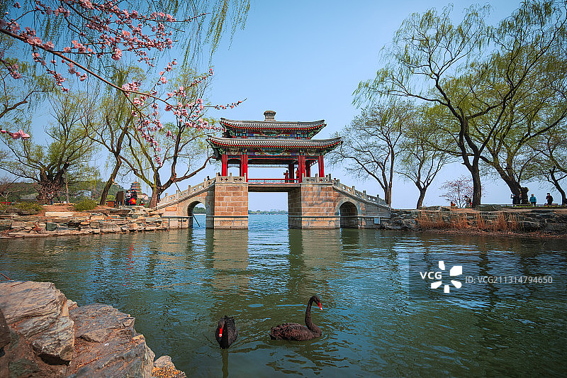 盼春归图片素材