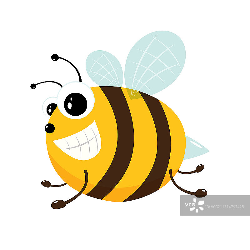 小蜜蜂图片素材