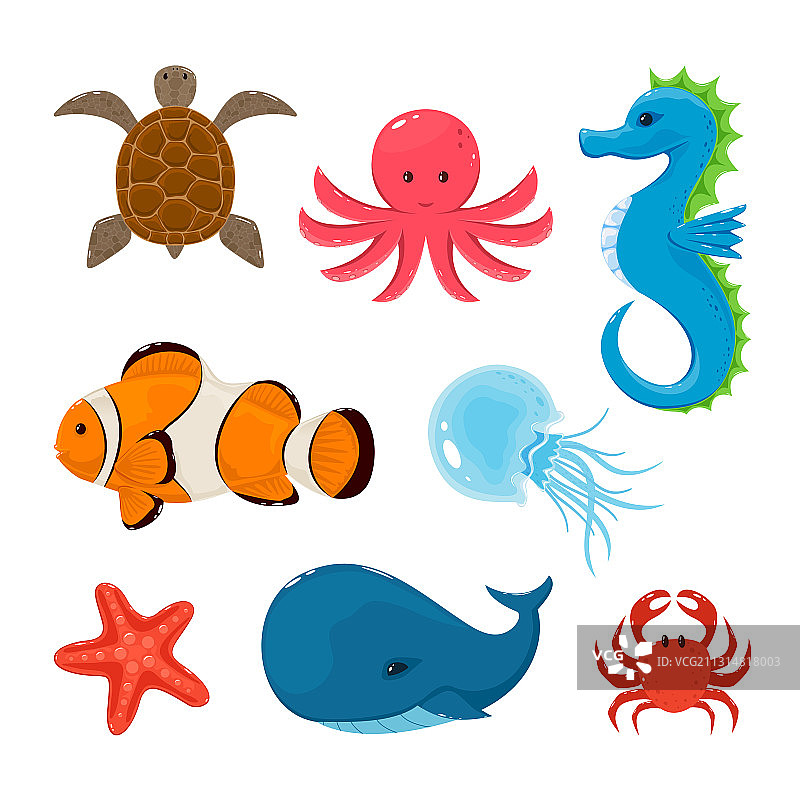 一组白色背景下的海洋动物图片素材