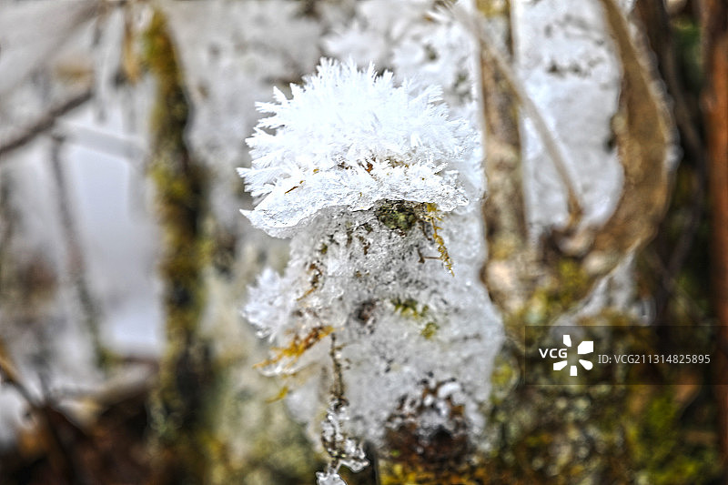 冰花图片素材