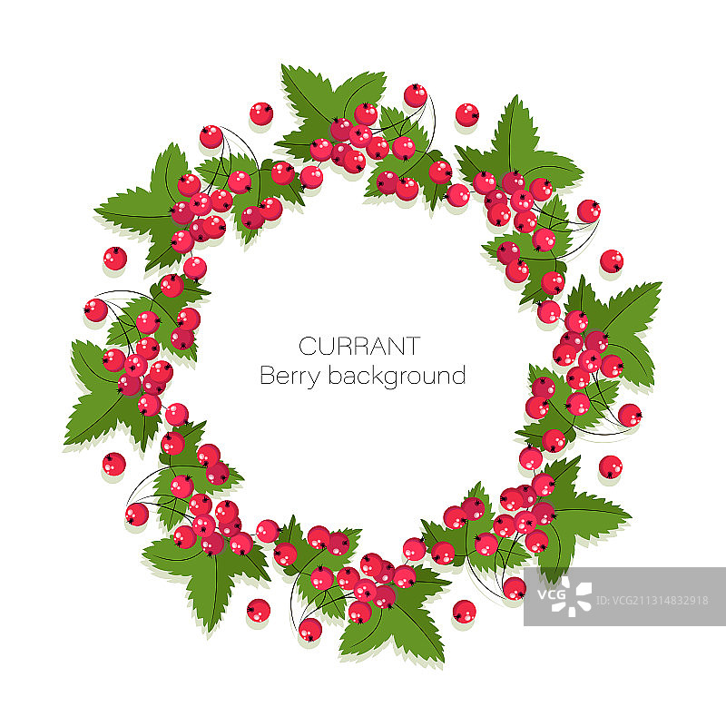 红醋栗果实圆形排列图片素材