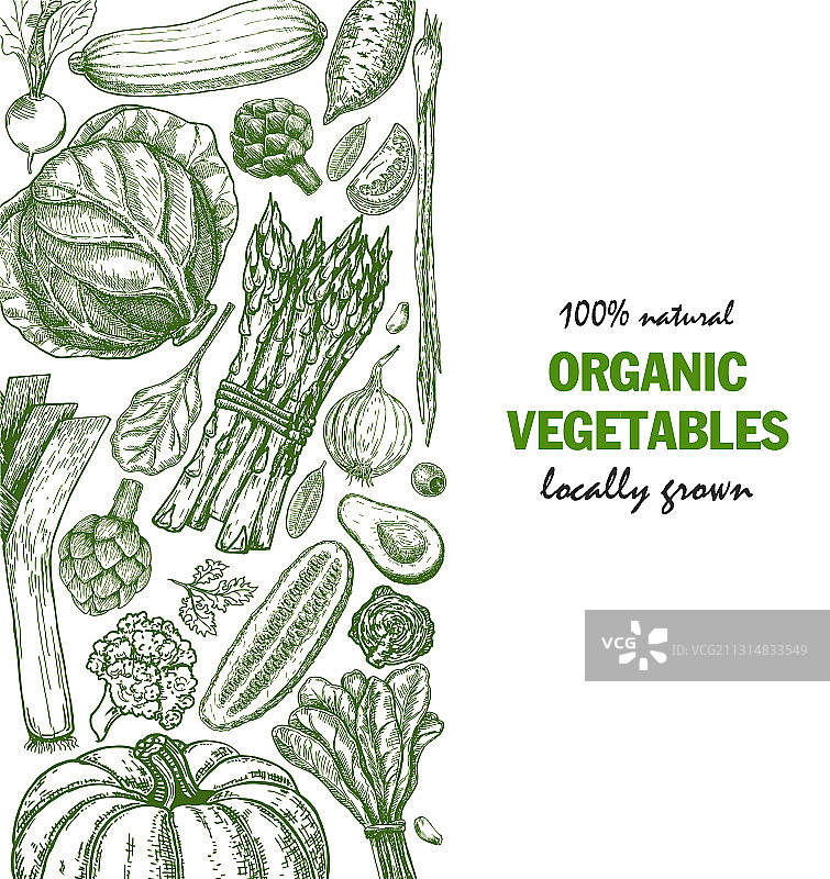 有机蔬菜食品卡片农民设计图片素材