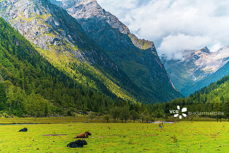 四姑娘山长坪沟风光图片素材