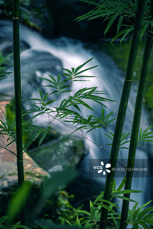 竹与小溪图片素材